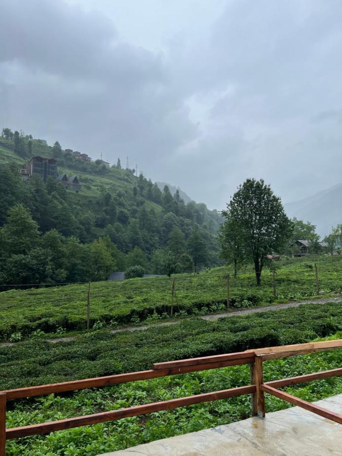 Afara Bungalows Otel & Cafe Rize Exterior foto